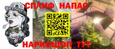 амф Будённовск