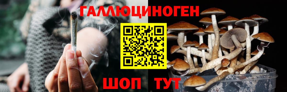 что такое наркотик  Псилоцибиновые грибы Psilocybe  Вход с VPN  Советский 